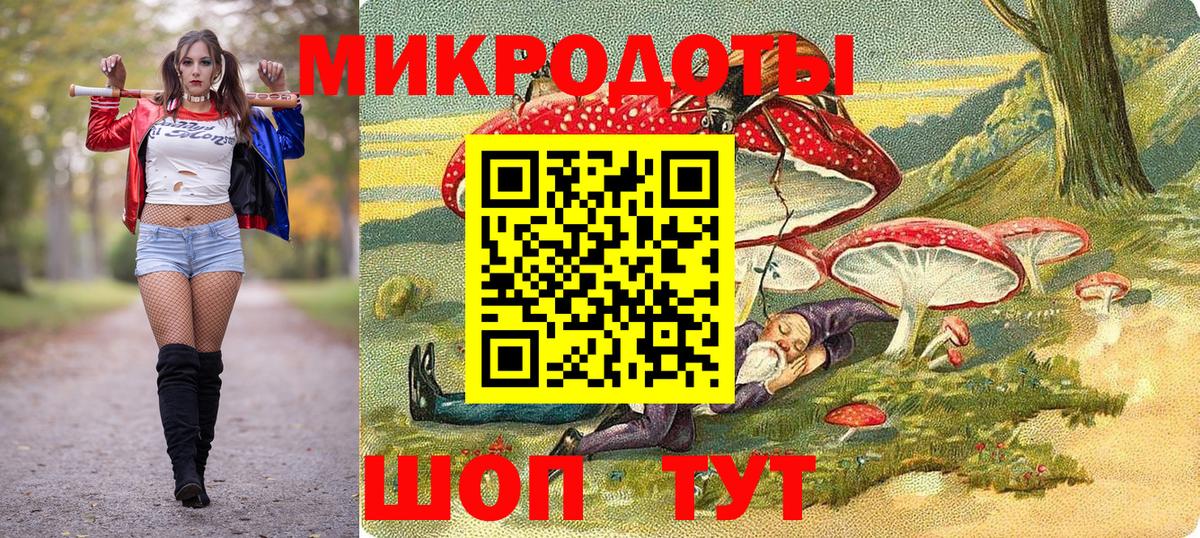 Галлюциногенные грибы Psilocybe Кандалакша