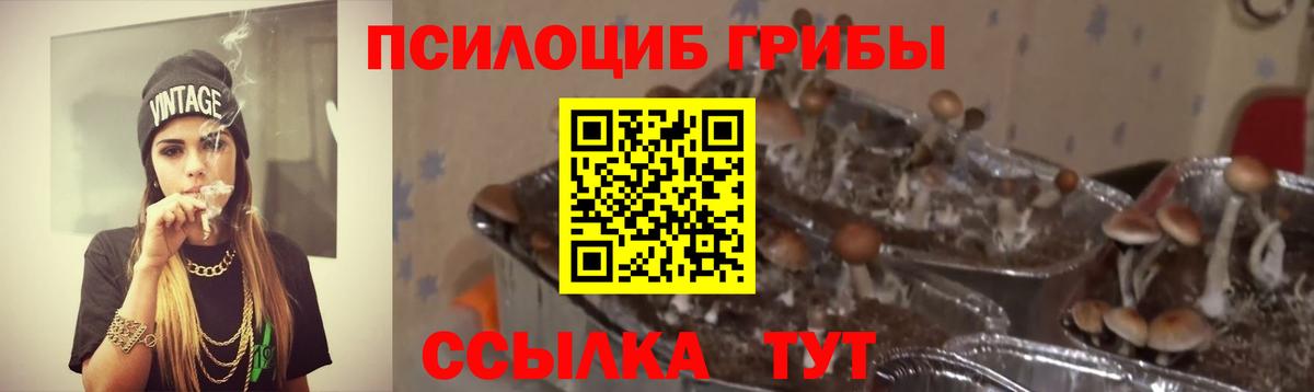 Галлюциногенные грибы мицелий  Вход с VPN  Кандалакша 